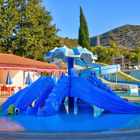 Blue Fish 4*